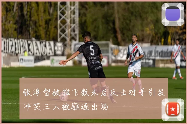 张淳智被推飞数米后反击对手引发冲突三人被驱逐出场